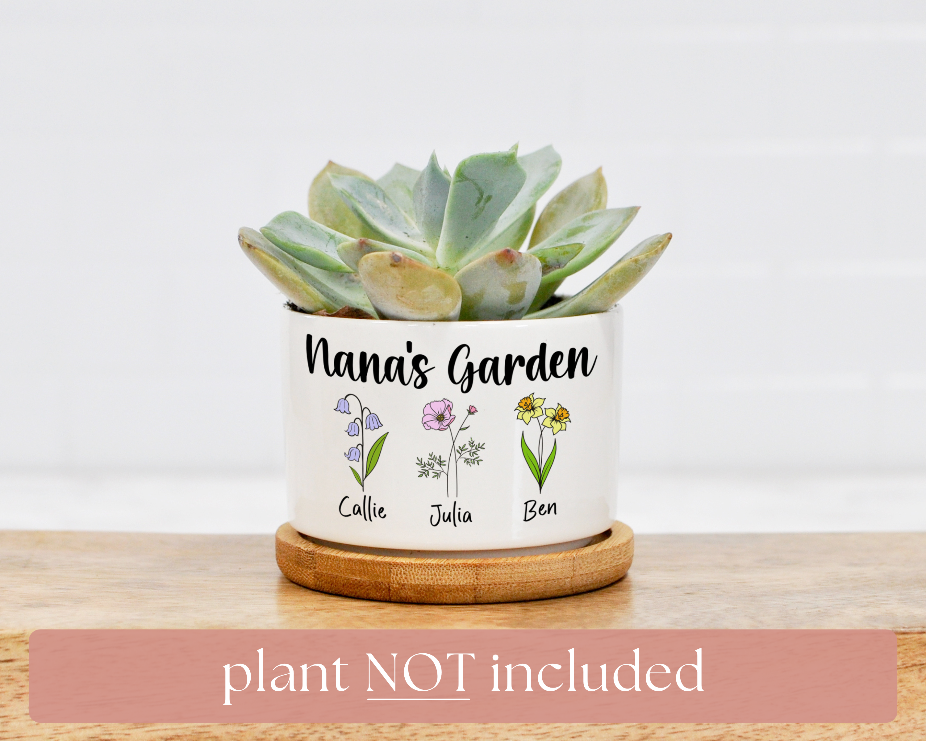 Grandma's Garden Mini Planter | Gift for Grandma